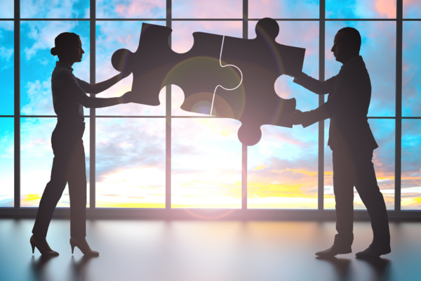 The role of interim executives in mergers and acquisitions